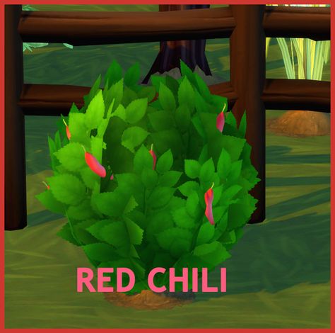 HARVESTABLE RED CHILI | icemunmun on Patreon Sims Memes, Grocery Market, Custom Recipe, Best Sims, Island Living, Red Chili, Sims 4 Cc Finds, Eating Raw, Seed Packets