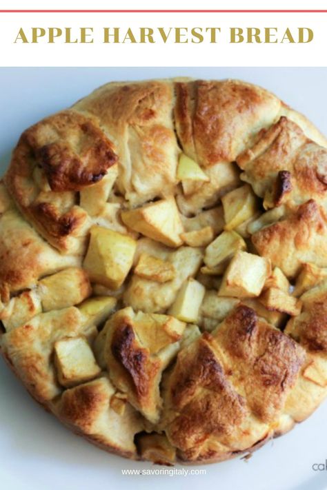 Apple Harvest Bread is a delicious and fluffy challah bread studded with naturally sweet apple chunks. Apples and cinnamon make this the most dreamy fall bread. #applebread #appleharvestbread #apppleyeastbread #applechallahbread #applebaking #bread #yeast #dough #fallbread #savoringitaly Apple Challah, Artesian Bread, Fall Bread, Challah Bread Recipe, Bread Yeast, Harvest Bread, Challah Bread Recipes, Apple Bread Recipe, Jewish Holiday Recipes