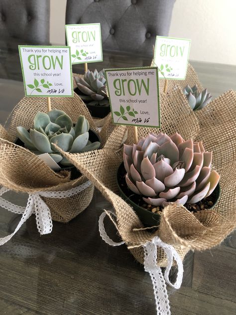 Succulents Thank You Gifts, Small Plants Gift Ideas, Manager Thank You Gifts, Small Appreciation Gifts For Teachers, Thank You Plants Appreciation Gifts, Thank You Centerpieces, Thank You Succulent Gift, Flower Gifts For Teachers, Small Thank You Gifts For Teachers