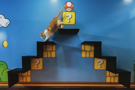 Super Mario Cat, Cat Projects, Diy Cat Tree, Kitty Games, Furniture Wood, Pet House, Funny Christmas Cards, Tree Diy, Cat Room