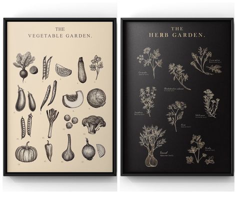 Black And Beige Kitchen, Vintage Kitchen Posters, Herbs Poster, Apple Kitchen, Illustration Kitchen, Menu Illustration, Garden Poster, Herb Wall, Kitchen Herbs