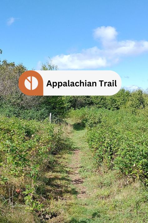 Did you know that the Appalachian Trail stretches over 2,000 miles from Georgia to Maine, making it one of the longest continuous footpaths in the world? 🌲⛰️ Check out our hiking guide on the Appalachian Trail for more information on this iconic trail! #AppalachianTrail #HikingGuide Hiking In Georgia, The Appalachian Trail, Harpers Ferry, Hiking Guide, Ultralight Backpacking, Appalachian Trail, National Park Service, Best Hikes, Day Hike