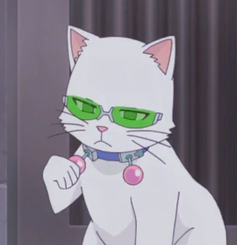 Cat Saiki, Saikik Anime, Kuriko Saiki, Saiki K, Saiki Kusuo, At School, Anime Icons, Anime