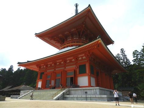 Mount Koya, Matcha Japan, Japan Travel Guide, Wakayama, Web Magazine, Japan Travel, Buddhism, Matcha, Travel Guide