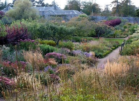 10 Garden Ideas to Steal from Scotland Landscape Borders, Scottish Homes, Castle Garden, Edible Landscaping, Home Landscaping, Hardy Plants, Garden Design Ideas, Garden Borders, Ornamental Grasses