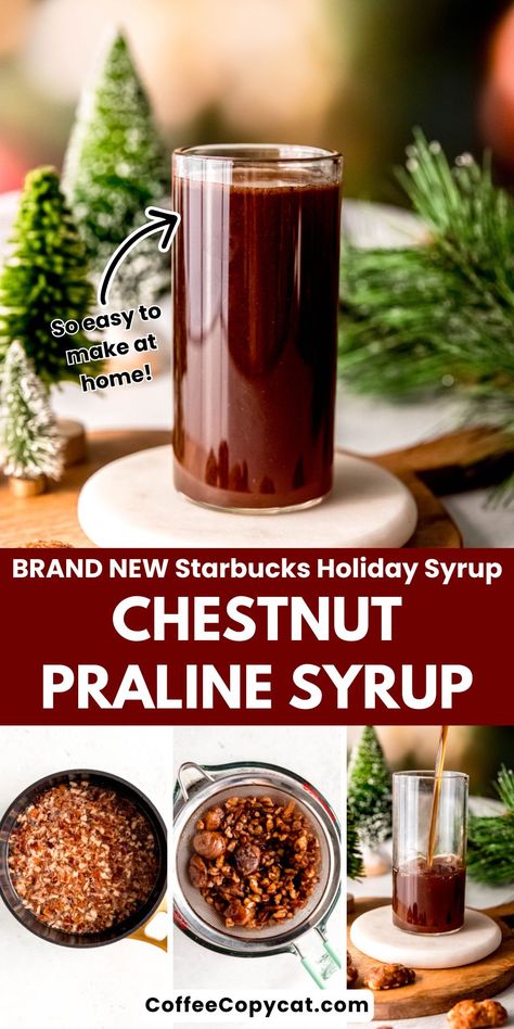 Unique Coffee Syrup Flavors, Starbucks Copycat Syrup, Starbucks Chestnut Praline Latte Recipe, Chestnut Praline Syrup Recipe, Christmas Coffee Syrup, Starbucks Syrup Recipes, Coffee Syrups Homemade, Chestnut Praline Latte Starbucks, Praline Syrup Recipe