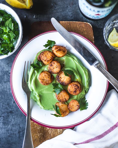 Seared Scallops with Cauliflower & Spinach Purée | PrimalGourmet Whole30 Easy, Primal Gourmet, Monkfish Recipes, Spinach Puree, Spinach Recipes Healthy, Fresh Scallops, Whole 30 Snacks, Quick Protein, Cauliflower Puree