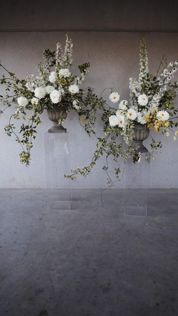 Ash / Film & Foliage on Instagram: "Cocktail Recipe for the perfect garden style wedding 🍸 🌿 Start with 2 classic urns, add plinths to taste 🌿 Stir in cascading vines that twirl and swirl 🌿 Splash in a generous portion of tumbling, cascading blooms 🌿 Muddle with a meadow aisle for your feet to dance down to your sweetheart 🌿 Shake with a whimsical bouquet, filled with movement and sweet scented, ruffled petals 🌿 Garnish with a sweet string quartet, your nearest and dearest and classy law Film And Foliage, Whimsical Bouquet, Wedding Pricing, Garden Style Wedding, Table Florals, Luxury Florists, Meadow Flowers, Wedding Prices, String Quartet