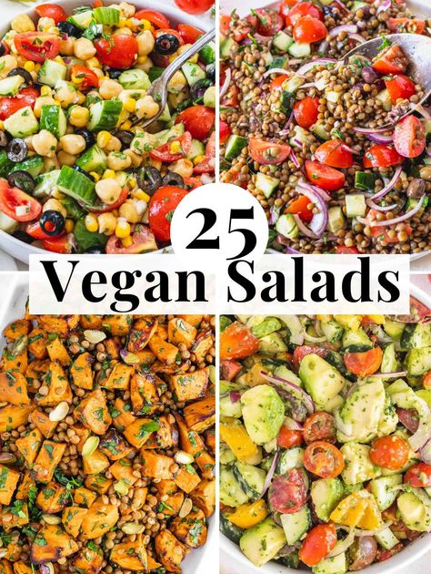 25 Best Vegan Salad Recipes for Plant-based Protein Whole Food Plant Based Lunch Ideas, Vegan Lettuce Salad, Vegan Protein Salad Recipes, Vegan Cold Salad, Plant Based Salad Recipes, Vegetarian Salads Protein, Raw Vegan Salads, Vegan Protein Salad, Raw Plant Based Recipes