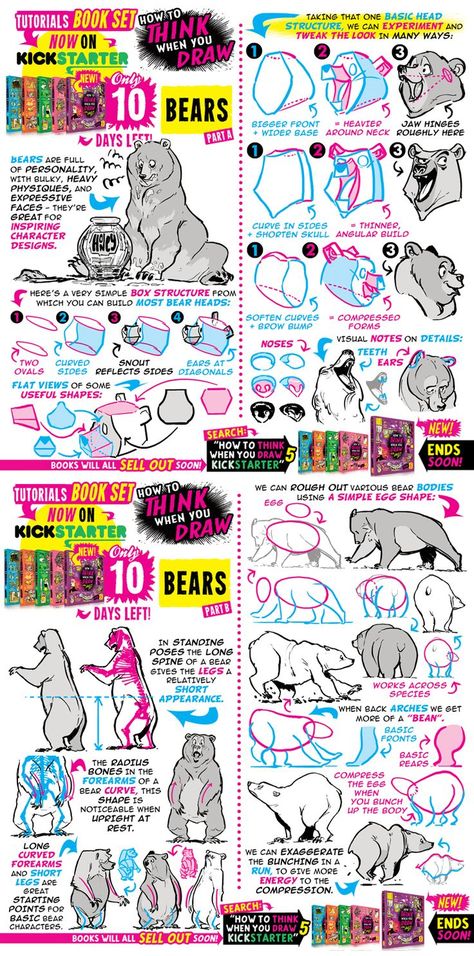 Bear Character Design, Etherington Brothers, Comic Tutorial, Bear Art, Animal Sketches, Drawing Lessons, Art Tutorials Drawing, Digital Art Tutorial, Art Studies