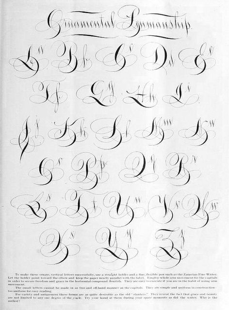 "Ornamental Penmanship" an example of Vertical Penmanship. From Zaner-Bloser publication, The Penman-Artist and Business Educator", vol. 26 (1900). Ornamental Penmanship, Tattoo Script Fonts, Flourish Calligraphy, Alfabet Letters, Tattoo Lettering Fonts, Hand Lettering Alphabet, Calligraphy Handwriting, Lettering Alphabet Fonts, Tattoo Script