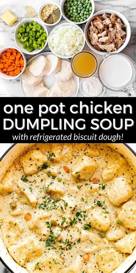 Crockpot Soup Rotisserie Chicken, Soup Recipes Chicken Dumpling, Chicken Pot Pie Dumpling Soup, Chicken Dumpling Soup With Rotisserie Chicken, Chicken Dumpling With Rotisserie Chicken, Creamy Chicken Soup With Dumplings, Cozy Cook Chicken And Dumplings, Rotisserie Chicken Dumpling Soup, Best Crock Pot Soup Recipes Ever