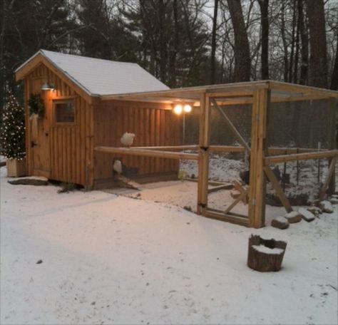 10 x 10 foot walk-in coop. Just right for a flock in a large backyard. Easy Diy Chicken Coop Plans, Easy Diy Chicken Coop, Backyard Layout, Diy Chicken Coop Plans, Chicken Life, Coop Design, Chicken Coop Designs, Coop Plans, Building A Chicken Coop