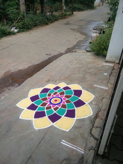 Marghazhi Kolam, Colour Kolam, Rangoli Designs Photos, Rangoli Designs Simple Diwali, Latest Rangoli, Simple Kolam, Kolam Design, Big Rangoli, Simple Flower Design