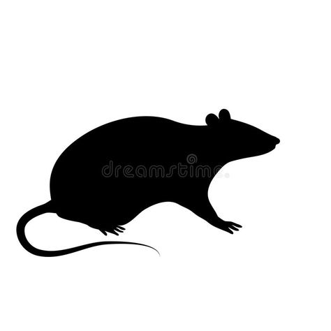 Silhouette of the rat or mouse is sitting on a white background. The black silho , #affiliate, #sitting, #white, #mouse, #Silhouette, #rat #ad Rat Stencil, Rat Silhouette, Dibujos Halloween, Rat Tattoo, Mouse Silhouette, Deer Photos, White Mouse, Chinese New Year 2020, A Rat