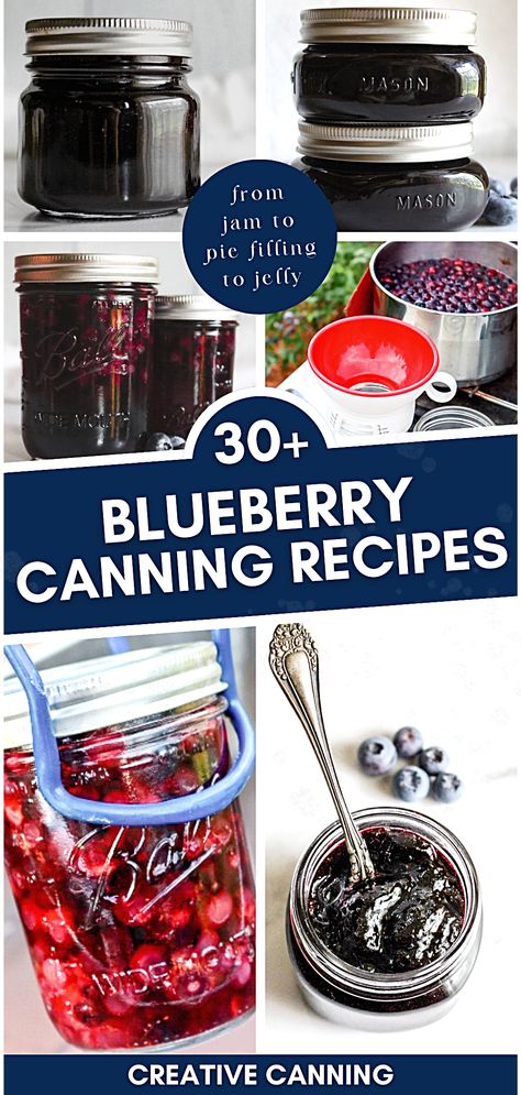 Canning Blueberries Recipes, Blueberry Jelly Recipe Canning, Blueberry Canning Recipes, Blueberry Jam Recipe Canning, Blueberry Recipes Canning, Blueberry Jelly Recipe, Blueberry Canning, Preserve Blueberries, Fruit In Jars