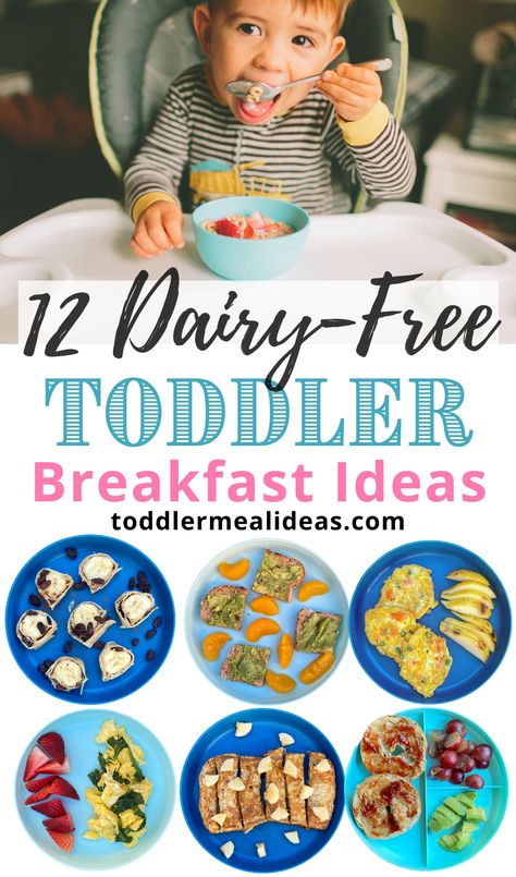 A list of dairy-free toddler breakfasts that are mom and toddler approved. Real, easy, quick, and healthy dairy-free toddler breakfasts ideas. Even if your toddler isn't dairy-free they are sure to love these fun breakfast ideas! #toddler #toddlerfood #dairyfree Non Dairy Breakfast, Dairy Free Recipes For Toddlers, Breakfast For Toddlers, Toddler Breakfast Ideas, Dairy Free Recipes For Kids, Dairy Free Baby, Dairy Free Breakfast, Mom And Toddler, Dairy Free Lunch