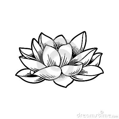 Small Hand Tattoos, Lotus Tattoo, Traditional Tattoos, American Traditional Tattoo, American Traditional, Styled Stock, Lotus Flower Tattoo, Traditional Tattoo, Lotus Flower