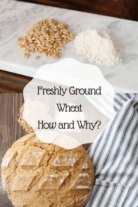 Make Flour, Food Grade Buckets, Eco Kitchen, Wheat Berries, Healthy Grains, Sustainable Kitchen, Eco Friendly Kitchen, Whole Wheat Bread, Healthy Kitchen