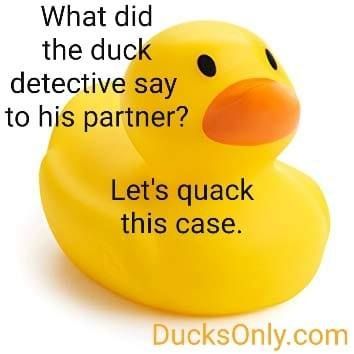 Duck Jokes, Duck Memes, Funny Corny Jokes, Lunchbox Jokes, Quack Quack, Funny Duck, Corny Jokes, Never Grow Up, Silly Images