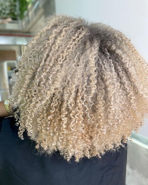 Blonde Wash And Go, Ash Blonde Afro, Curly Hair Dos, Curly Highlights, Intricate Hairstyles, Blonde Afro, Blonde Natural Hair, Curly Color, Dyed Curly Hair