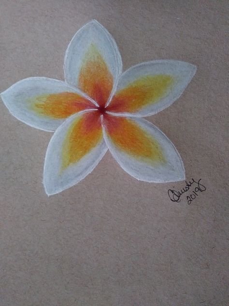 Things To Draw With Prismacolor Pencils, Pretty Flowers To Draw, Things To Draw With Color, Flower Paintings Simple, Drawing Ideas Plants, Plumeria Flowers Drawing, Colored Pencil Art Easy, Things To Draw And Color, Drawing Ideas With Color