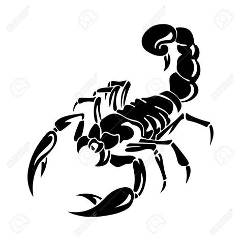 Stickers Cool, Scorpion Tattoo, Dark Art Drawings, Diy Car, Car Decals Vinyl, Digital Cut File, Car Bumper, Car Decor, Car Decals