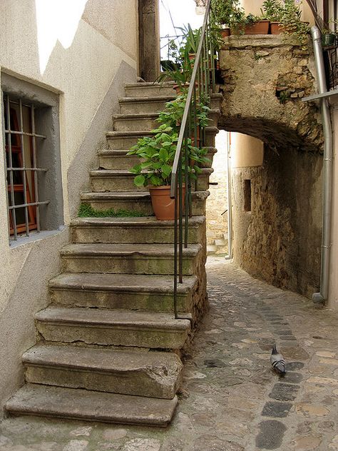 Stairs Exterior, Dalmatian Coast Croatia, Krk Island, Medieval Towns, Alley Way, Stair Ideas, Travel Croatia, Dalmatian Coast, Stone Stairs