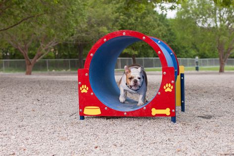 Your friendly pet product experts! We manufacture dog agility equipment, water fountains, custom fire hydrants and everything else needed for a dog park or pet-friendly community. Dog Play Equipment, Dog Park Ideas, Dog Yards, Dog Slide, Dog Park Design, Dog Park Equipment, Dog Daycare Business, Dog Noises, Puppy Playground