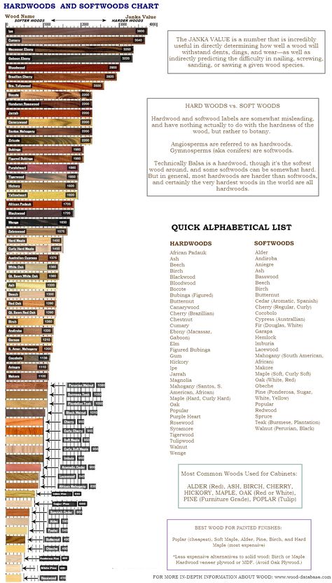 Wood Hardness Chart, Widdling Wood, Wood Types Chart, Type Of Wood, Wood Lumber, Hardwood Lumber, Woodworking Shop Projects, Woodworking Basics, Wooden Words