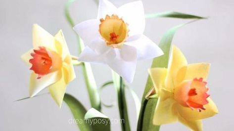 Large Paper Flowers, Printer Paper, Free Tutorial, Handmade Flowers, Flower Crafts, Diy Paper, Daffodils, Crafts To Make, Paper Flowers