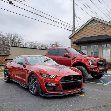 Mobil Off Road, Shelby Gt 500, Shelby Gt350r, 2010 Ford Mustang, Ford Mustang Cobra, Shelby Mustang, Ford Mustang Car, Ford Mustang Shelby Gt500, Mustang Cobra