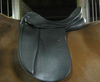 Dressage Exercises, Horse Information, Dover Saddlery, Saddle Fitting, English Saddle, Dressage, Horse Riding, Saddle