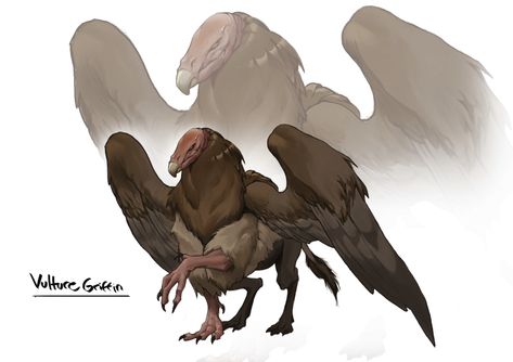 ArtStation - Vulture Griffin Characters Inspiration Drawing, Monster Characters, Creature Artwork, Cool Monsters, Cute Fantasy Creatures, Fantasy Beasts, Warhammer Art, Alien Concept Art, Creature Drawings