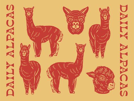 Illustration for Daily Alpacas by cmpt_rules Alpaca Drawing, Illustration Procreate, North Vancouver, Design Jobs, Typography Letters, Design Assets, Vintage Illustration, Graphic Design Illustration, Design Illustration