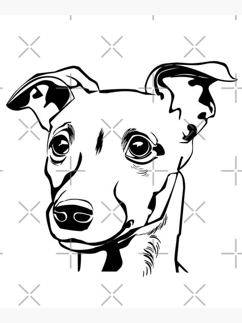 Whippet Dog Drawing, Whippet Drawing, Whippet Puppy, Dog Face Drawing, Whippet Puppies, Whippet Dog, Puppy Face, Wood Carving Patterns, Pet Photography