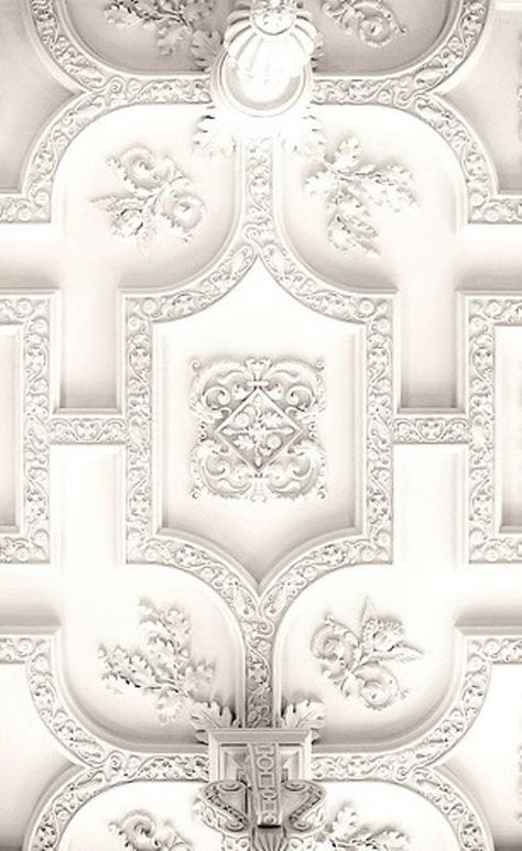 White Detailed Plaster Ceilings  | Architecture Decor Ceilings | Rosamaria G Frangini Plaster Ceiling Design, Plafon Gypsum, Wal Art, Plaster Ceiling, Plafond Design, Ceiling Detail, Fixer Upper Style, White Ceiling, The Ceiling