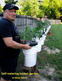 Bucket Gardening 5 Gallon, Bucket Garden, Compost Container, Bucket Planters, Bucket Gardening, Vegetable Garden Tips, Building A Raised Garden, Garden Vegetable, Container Gardening Flowers