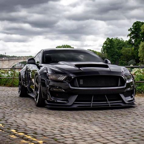 Ford Mustang Mustang Modified, Mustang Logo, Mustang Wallpaper, Ford Mustang For Sale, Ford Mustang Car, Mustang Horse, Mustang Cobra, Classic Mustang, Shelby Gt