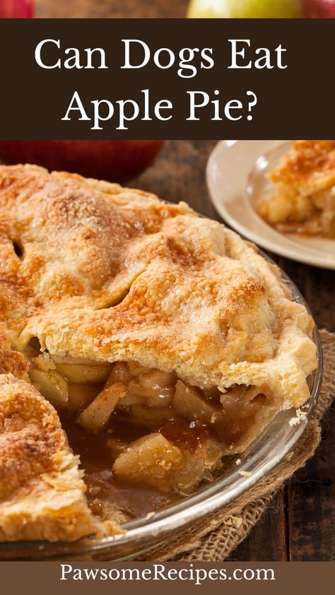 Can Dogs Eat Apple Pie Traditional Apple Pie Recipe, Can Dogs Eat Apples, Traditional Apple Pie, Chicken Pumpkin, Freezing Apples, Dog Treats Homemade Recipes, High Fat Foods, Treat Recipes, Sugary Food