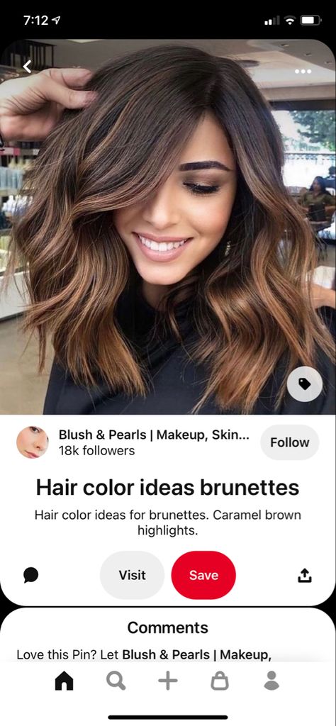 French Cut Hair, Tortoise Shell Hair Color, Tortoise Shell Hair, Chocolate Brown Hair, Professional Hairstylist, French Hair, Love Hair, Brown Hair Colors, Brunette Hair