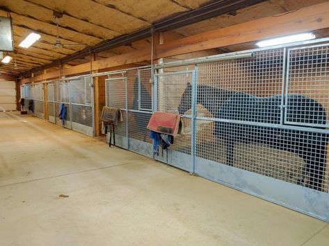 Horse Stall Fronts, Horse Stalls Doors, Stall Doors, Equestrian Property, Horse Paddock, Stall Fronts, Horse Barn Ideas Stables, Stall Door, Stable Ideas