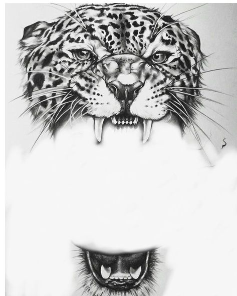 Black And Grey Tattoo Ideas For Men, Elephant And Lion Tattoo Ideas, Lion Head Tattoo Stencil, Tiger Eyes Tattoo Stencil, Tiger Head Tattoo Design, Realism Tattoo Stencil, Lion Tattoo Stencil, Tigres Tattoo, Black And Grey Tattoo Design