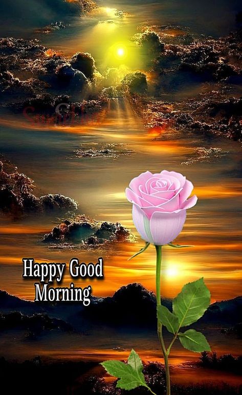 Good Morning Hindi, Good Morning Wishes Friends, Good Morning Status, Beautiful Good Morning Wishes, Morning Gifs, Good Morning Krishna, Latest Good Morning Images, Daily Wishes, Latest Good Morning