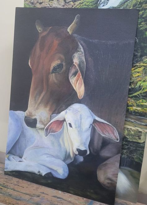 Cow and calf Oil painting Cow And Calf Painting, Cow Oil Painting, Cow Paintings On Canvas, Jw Library, Cow Paintings, Cow And Calf, Pretty Paintings, Colorful Canvas Art, Cow Drawing