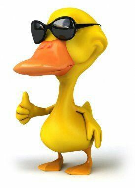 Duck With Sunglasses, Cool Duck, Emoji Man, Sunglasses Aesthetic, Waifu Material, Wallpaper Animes, Black Panther Marvel, Silly Images, Rock Posters