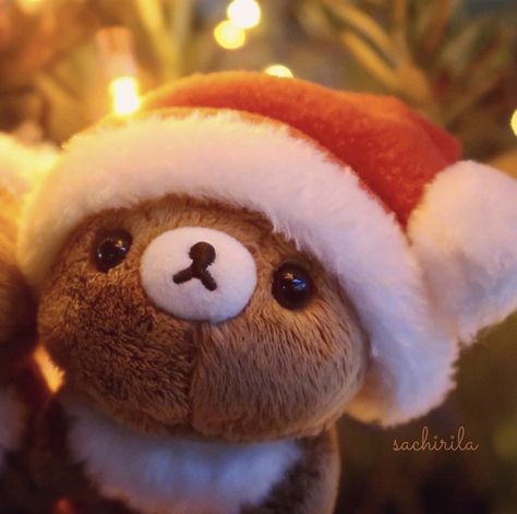 Winter Rilakkuma, Navidad Icons Aesthetic, Christmas Cute Pfp, Pfp Rilakkuma, Christmas Discord Pfp, Cute Christmas Pfp, Rilakkuma Christmas, Pfp Layout, Bear Pfp