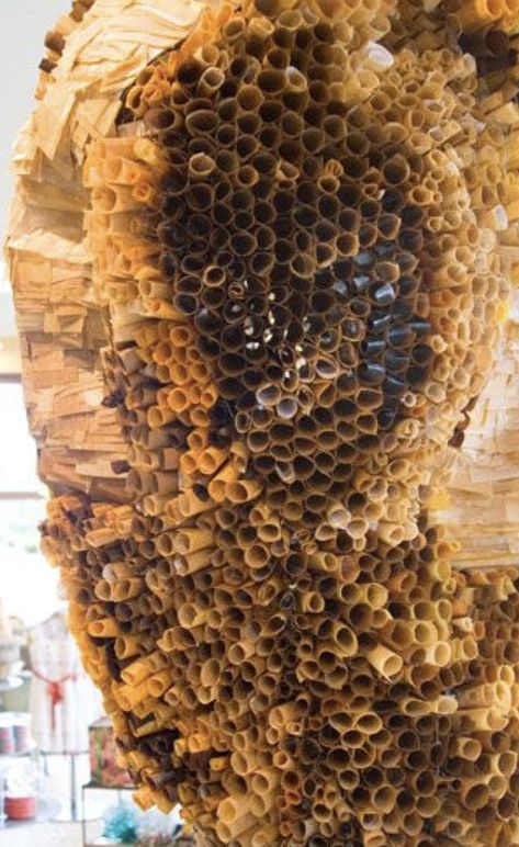 Write Poems, Beehive Design, Honey Shop, Create Decor, Creative Display, Bee Crafts, Bee Art, Chicken Wire, Camping Art