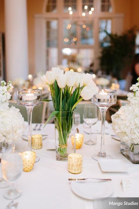 Garden Wedding, White Tulip Centerpiece /  / http://www.himisspuff.com/white-tulip-wedding-ideas-for-spring-weddings/9/ Tulip Centerpiece, Wedding Table Setup, Tulip Wedding, Pavilion Wedding, White Centerpiece, White Florals, Luxe Wedding, White Tulips, Mod Wedding