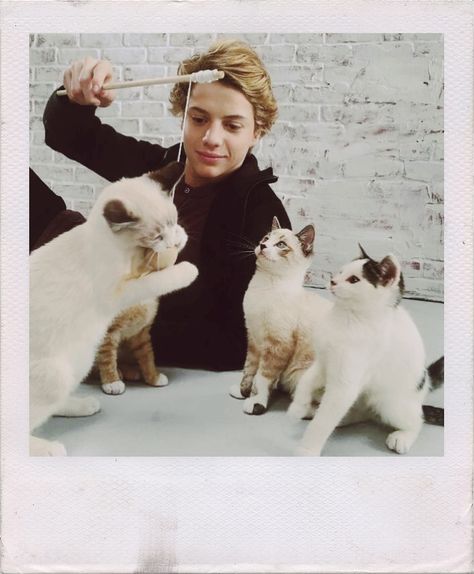 Jace Is So Cute With The Kittens! In The Official Teaser For The Nickelodeon Original Movie Rufus 2 a Sequel To Nick's Hit 2016 TV Movie! Xander Norman, Jace Norman Snapchat, Jason Norman, Henry Hart, Henry Danger Nickelodeon, Kid Danger, Henry Danger Jace Norman, Jace Norman, Love Henry